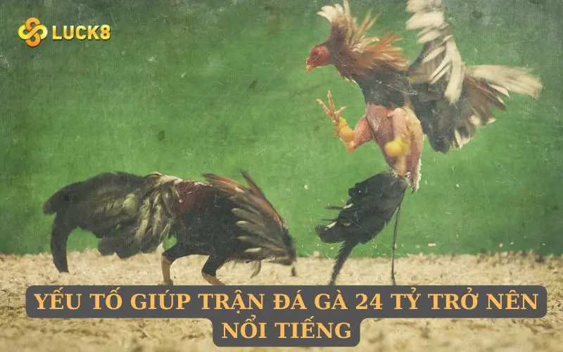 Yếu tố giúp trận đá gà 24 tỷ trở nên nổi tiếng